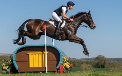 Bicton’s October Horse Trials has something for everyone