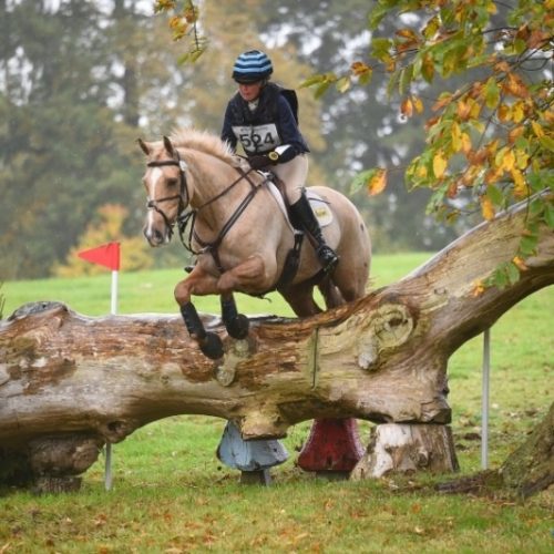 Bicton Arena To Host A BE90 3 Day Event